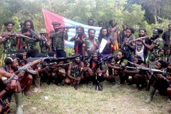 OPM/KKB itu Kelompok Pro Kemerdekaan dan Bukan Masyarakat Indonesia, Sejarah Kelompok Pro Kemerdekaan Papua (Organisasi Papua Merdeka/OPM)